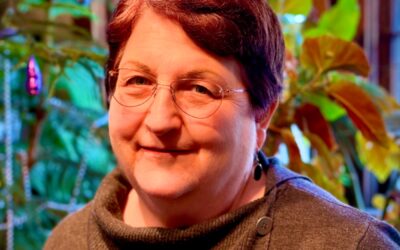 Lincoln’s Most Experienced School Board Candidate? | Interview with Barbara Baier