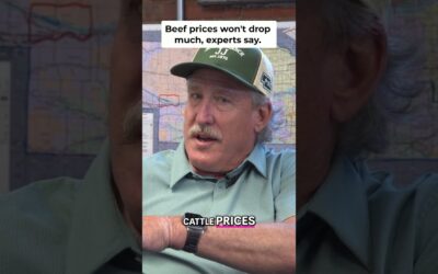 🥩 Are Hamburger Prices FINALLY Coming Down?