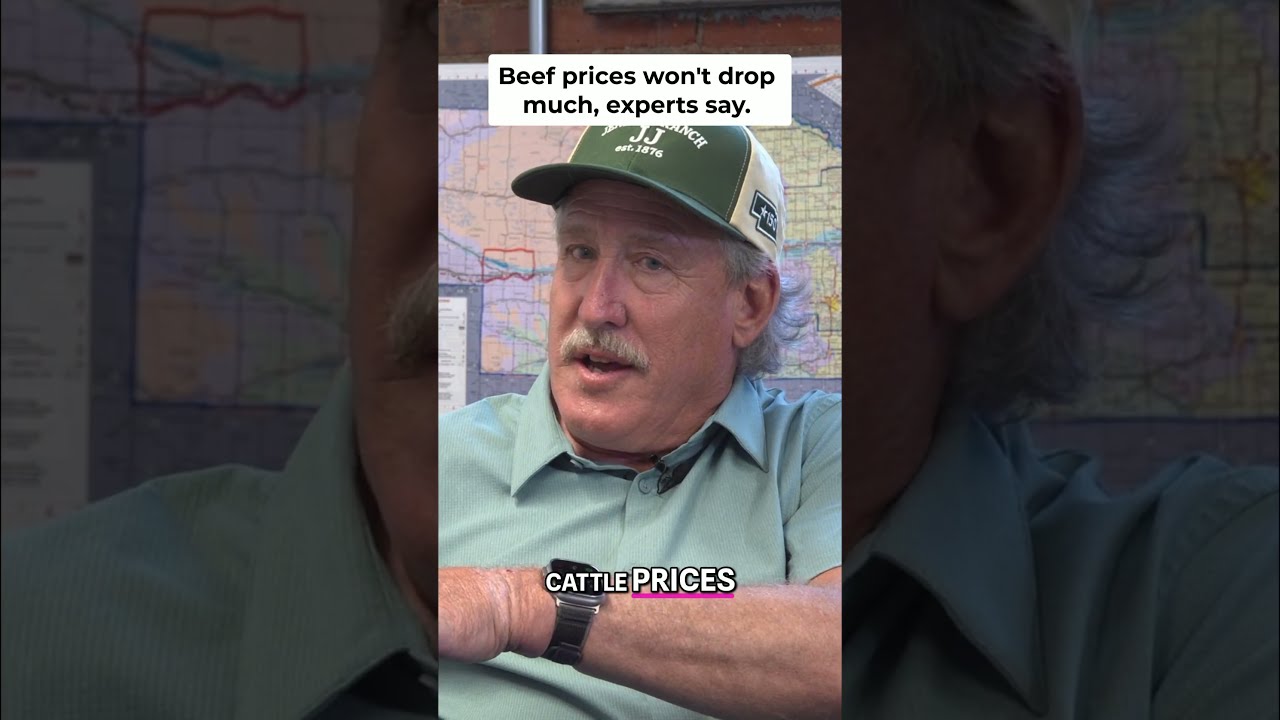 🥩 Are Hamburger Prices FINALLY Coming Down?